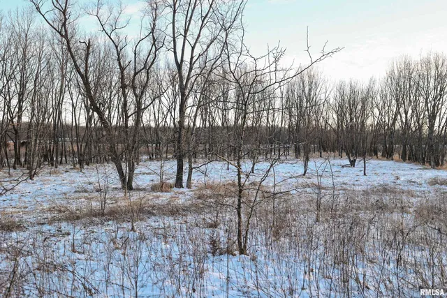 $729,000 | 878 East 450th Street, Plymouth, IL 62367