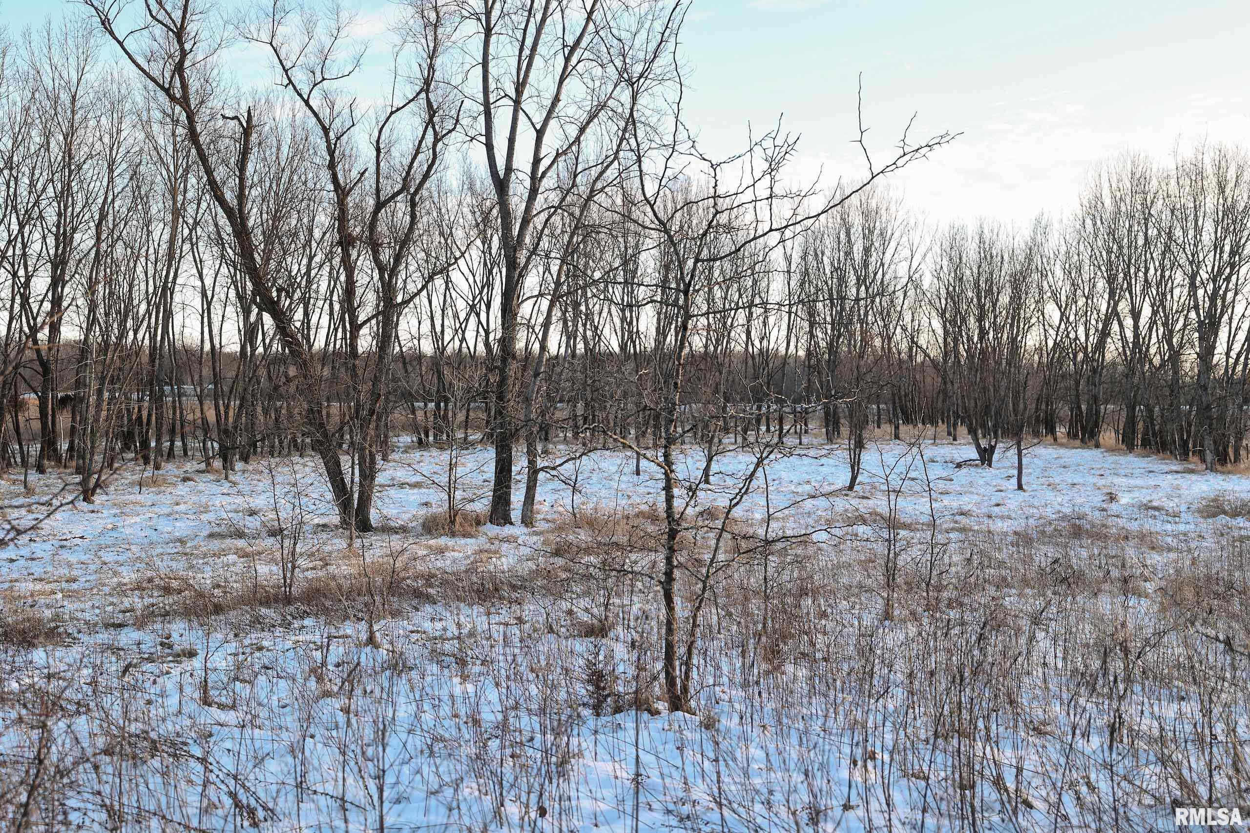 878 East 450th Street Plymouth, IL 62367 - Photo 85 of 100