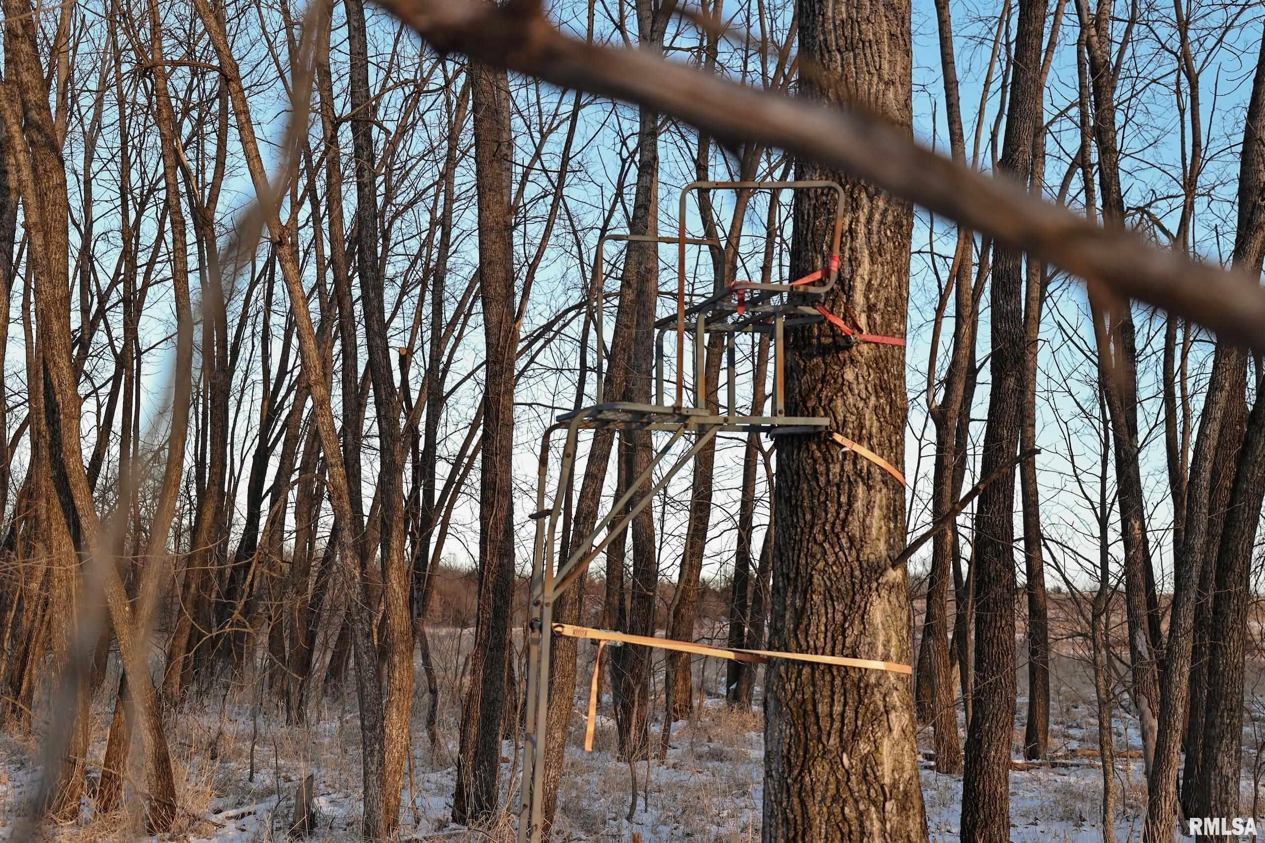 878 East 450th Street Plymouth, IL 62367 - Photo 86 of 100