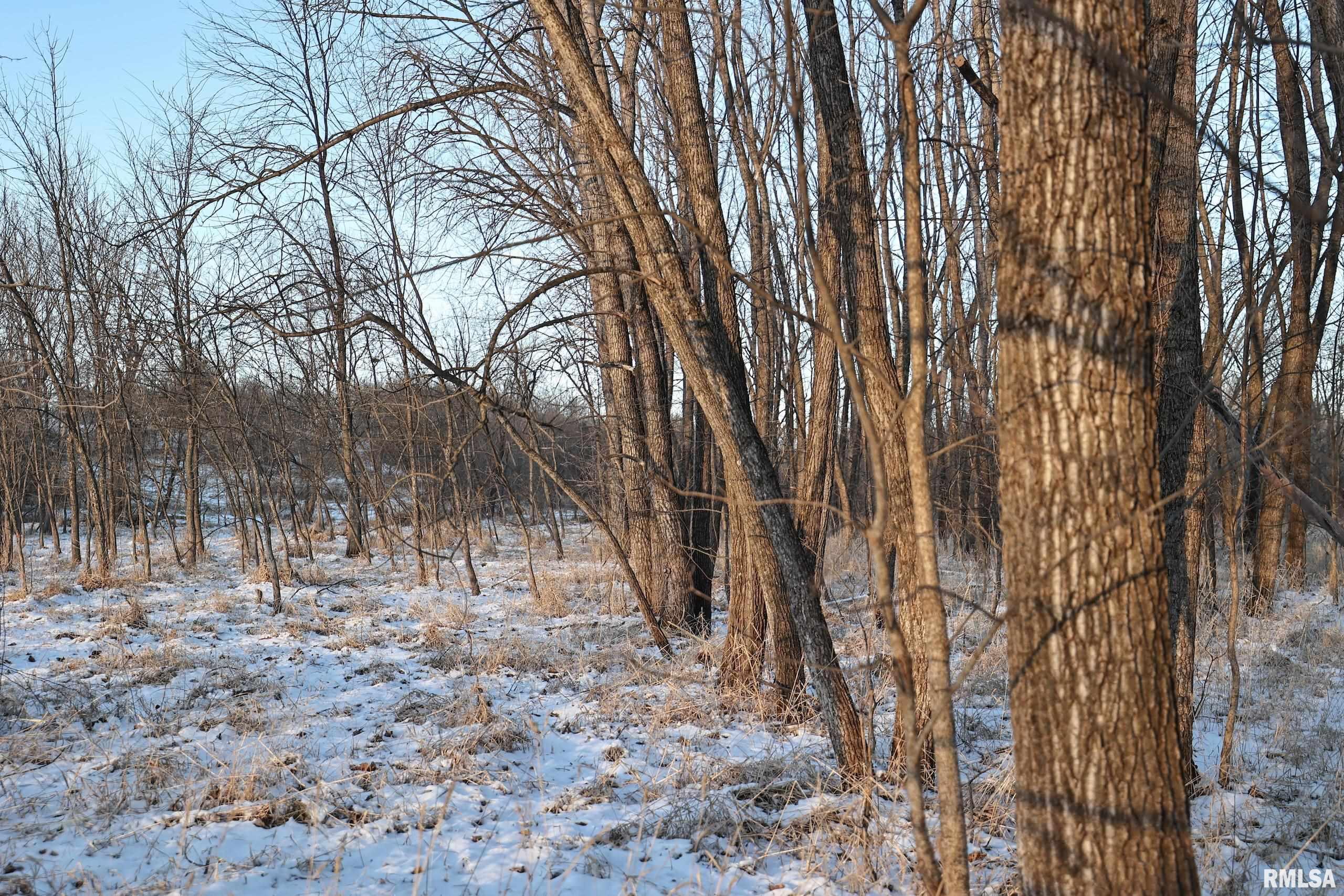 878 East 450th Street Plymouth, IL 62367 - Photo 87 of 100