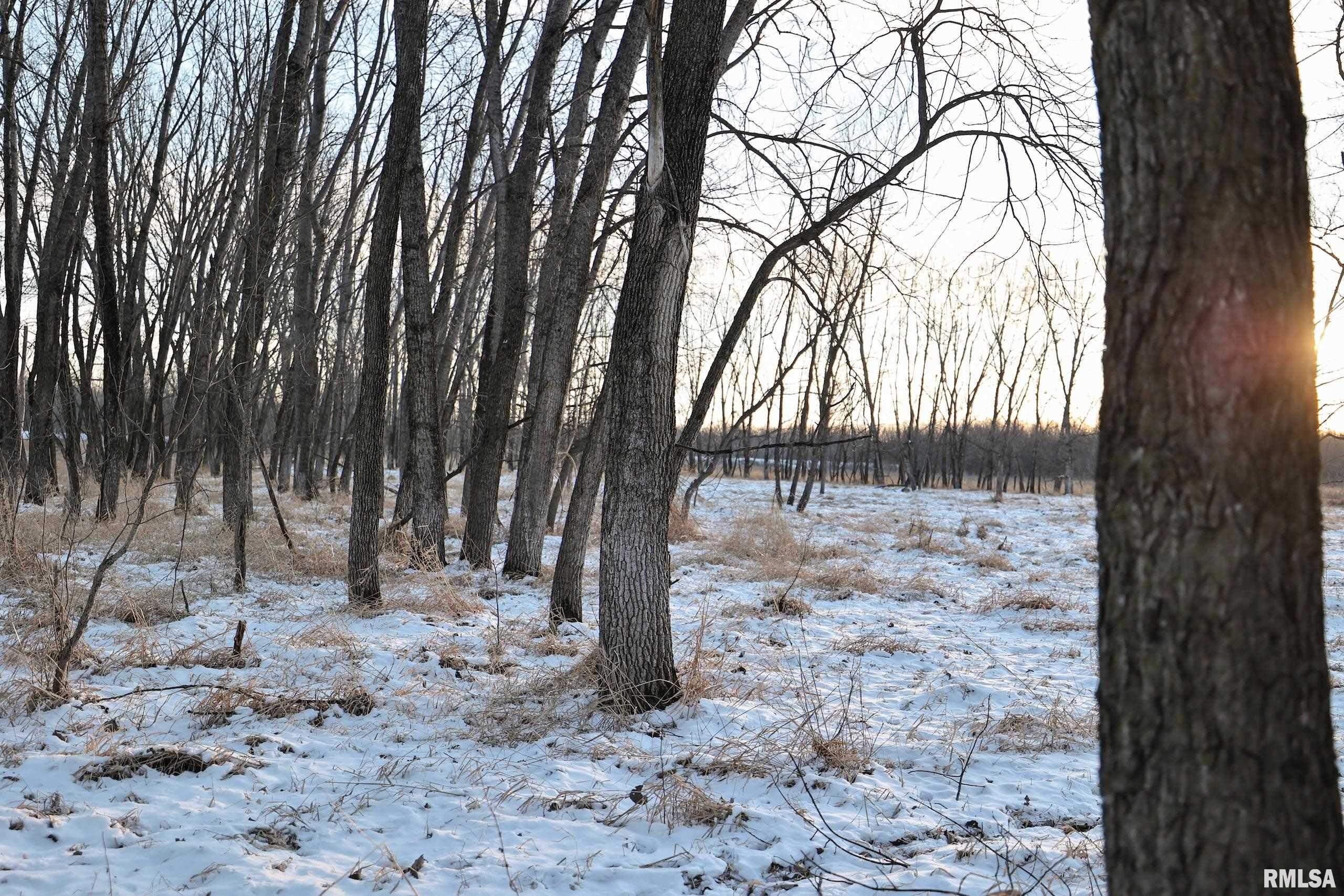 878 East 450th Street Plymouth, IL 62367 - Photo 88 of 100