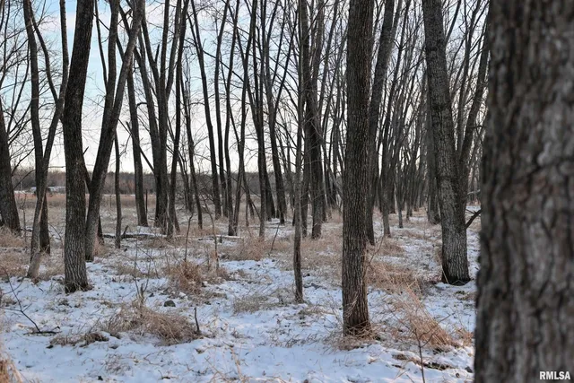 $729,000 | 878 East 450th Street, Plymouth, IL 62367