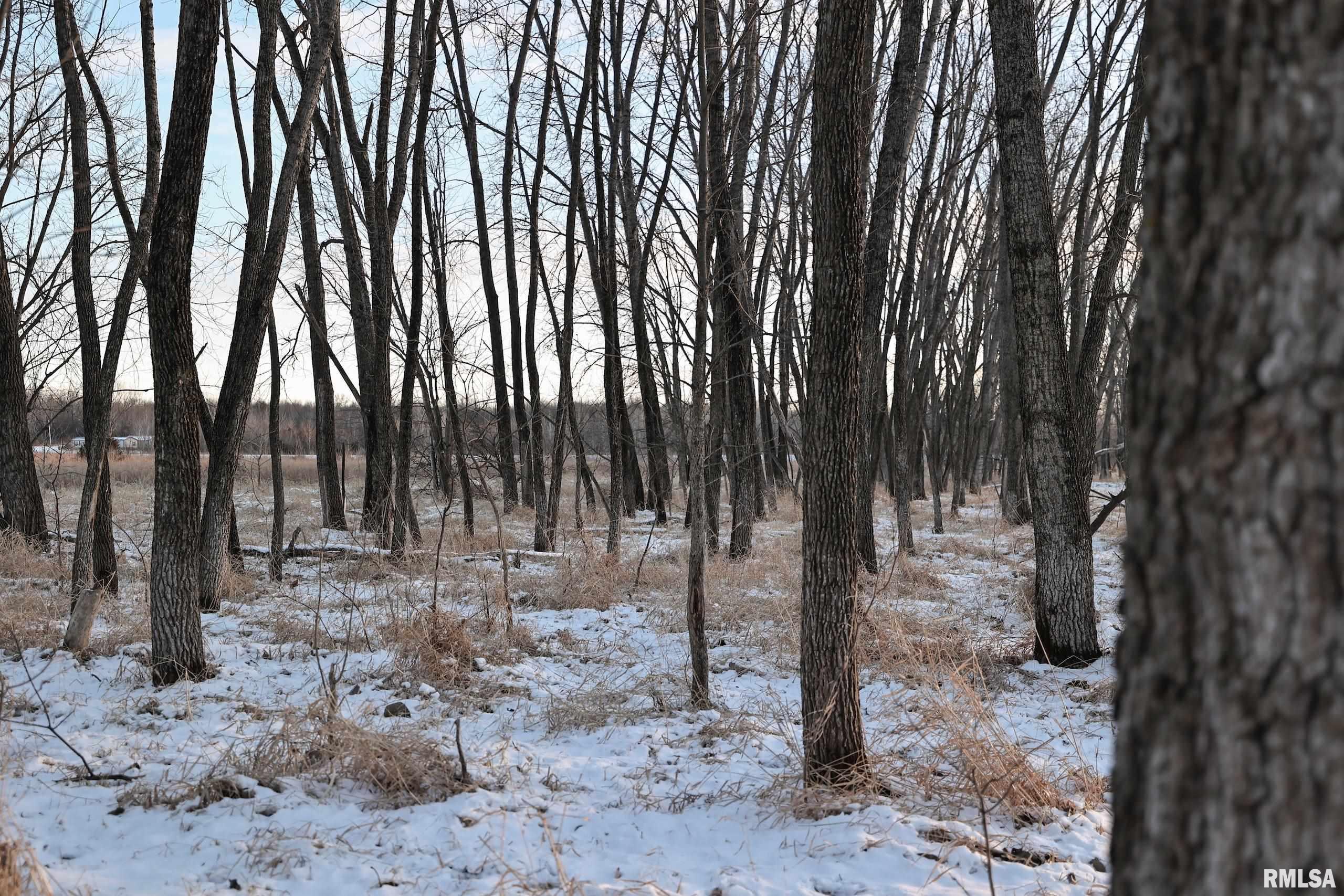 878 East 450th Street Plymouth, IL 62367 - Photo 89 of 100