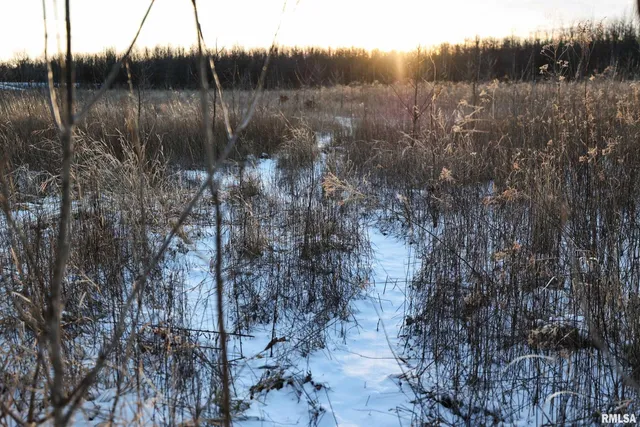 $729,000 | 878 East 450th Street, Plymouth, IL 62367