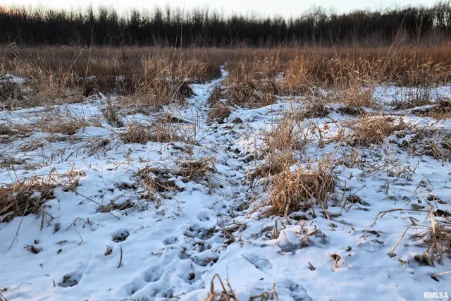 $729,000 | 878 East 450th Street, Plymouth, IL 62367