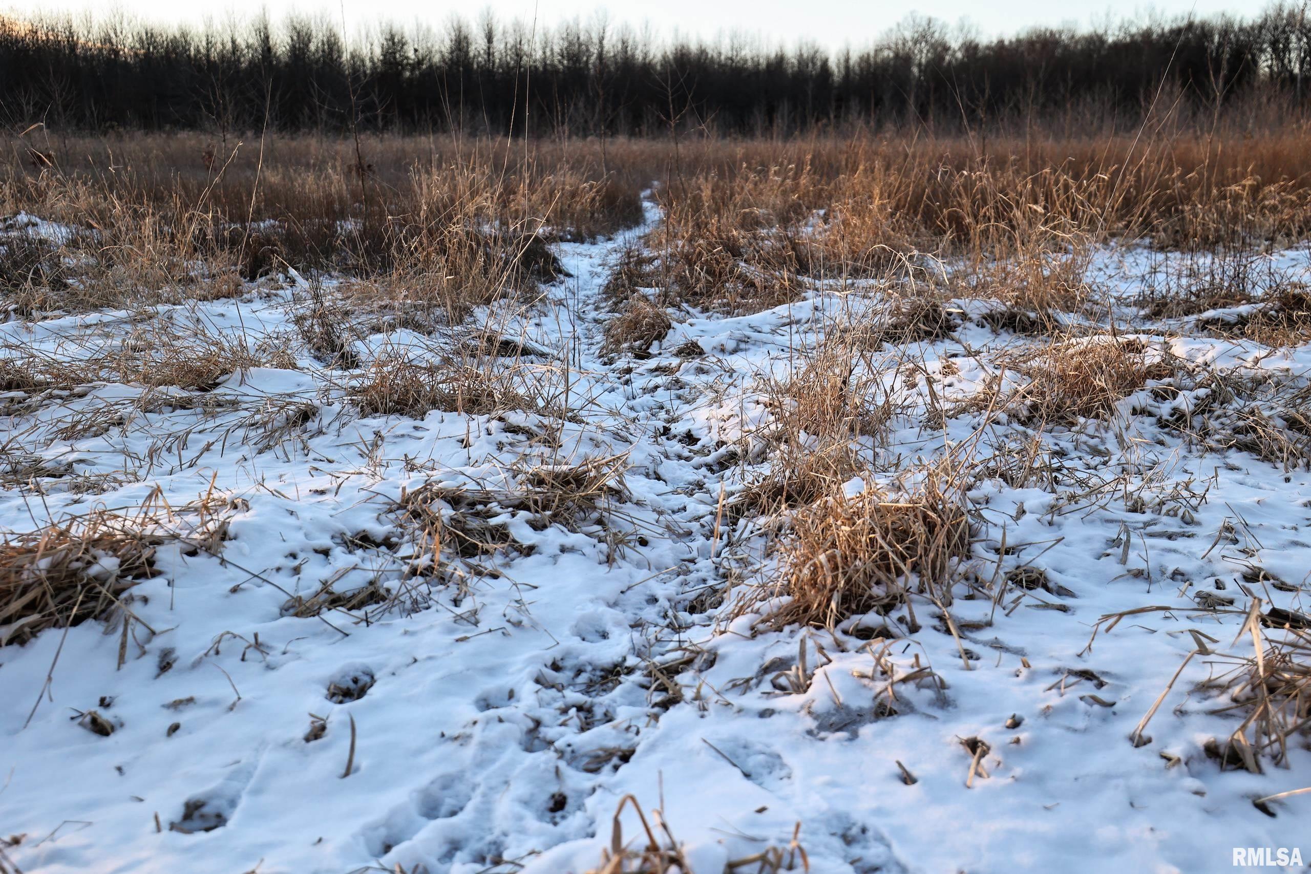 878 East 450th Street Plymouth, IL 62367 - Photo 92 of 100