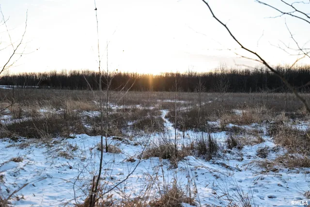 $729,000 | 878 East 450th Street, Plymouth, IL 62367