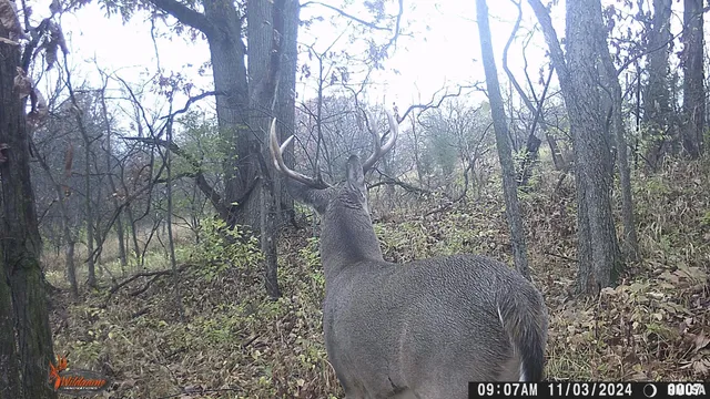 $729,000 | 878 East 450th Street, Plymouth, IL 62367