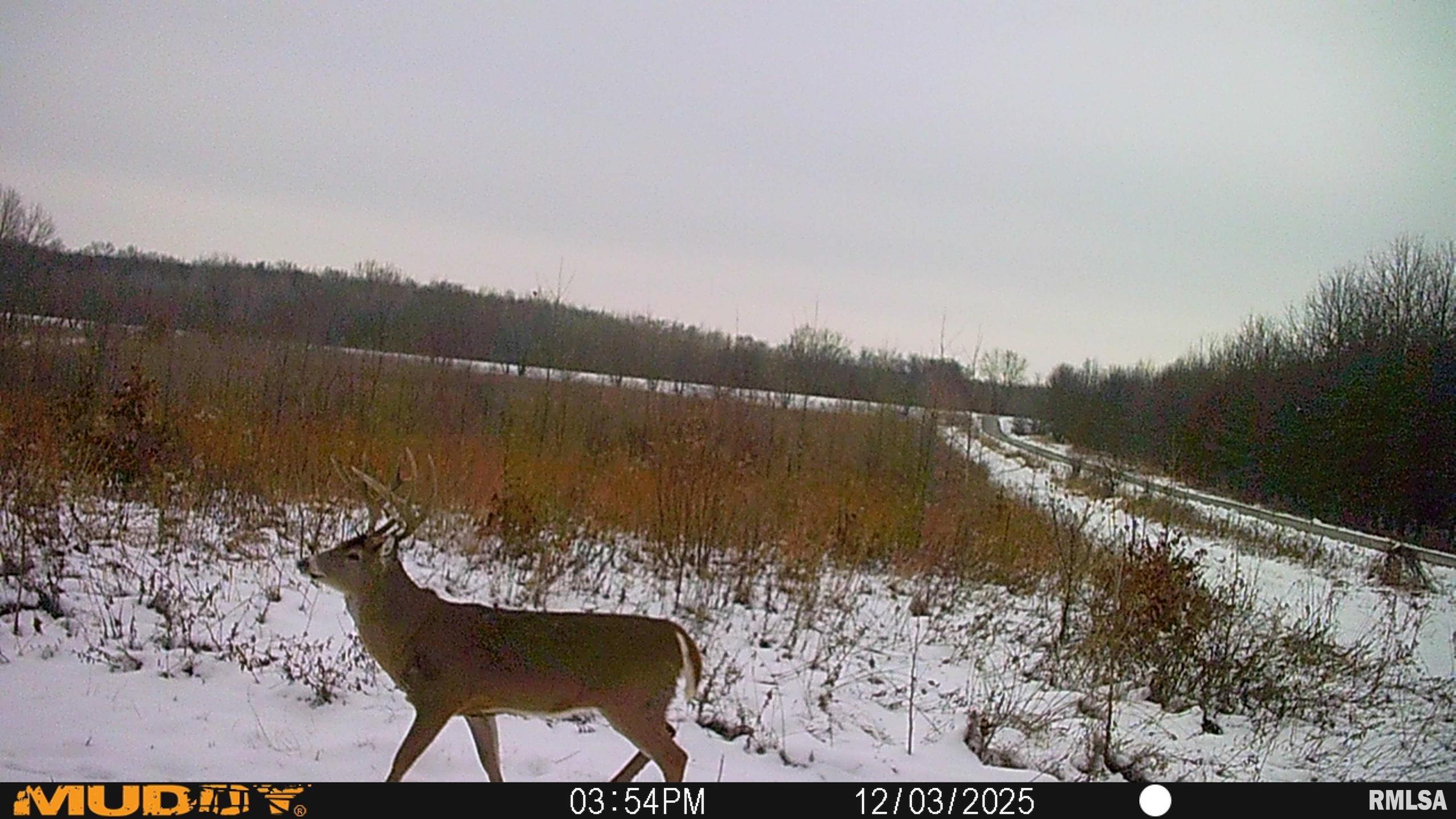 878 East 450th Street Plymouth, IL 62367 - Photo 95 of 100