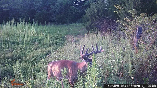 $729,000 | 878 East 450th Street, Plymouth, IL 62367