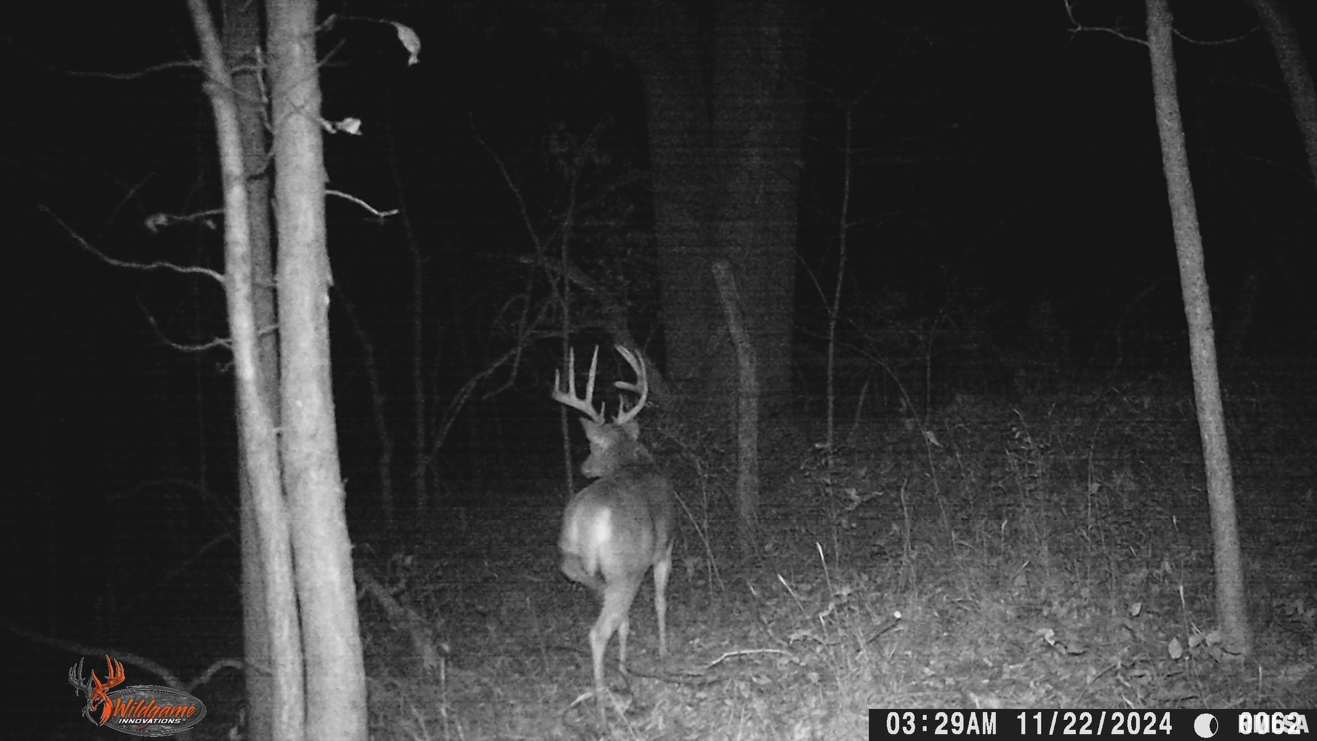 878 East 450th Street Plymouth, IL 62367 - Photo 97 of 100