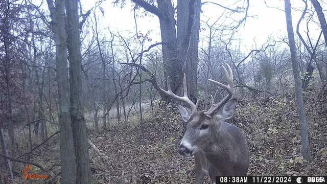 $729,000 | 878 East 450th Street, Plymouth, IL 62367