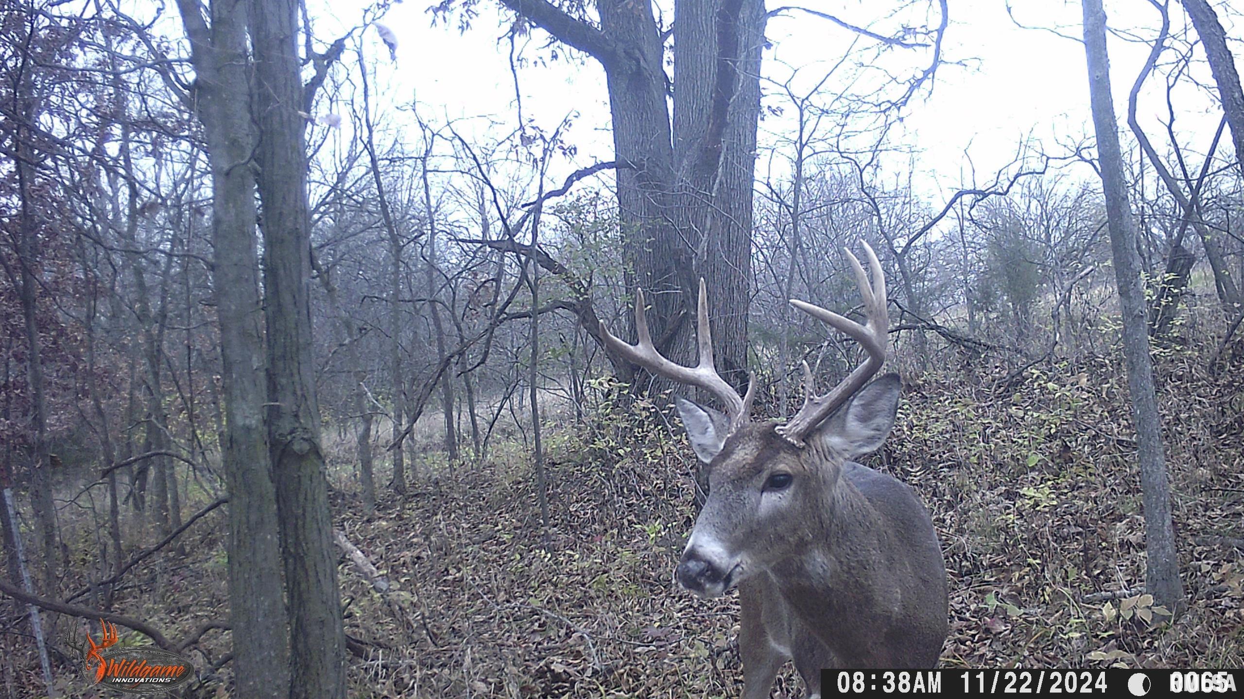 878 East 450th Street Plymouth, IL 62367 - Photo 98 of 100