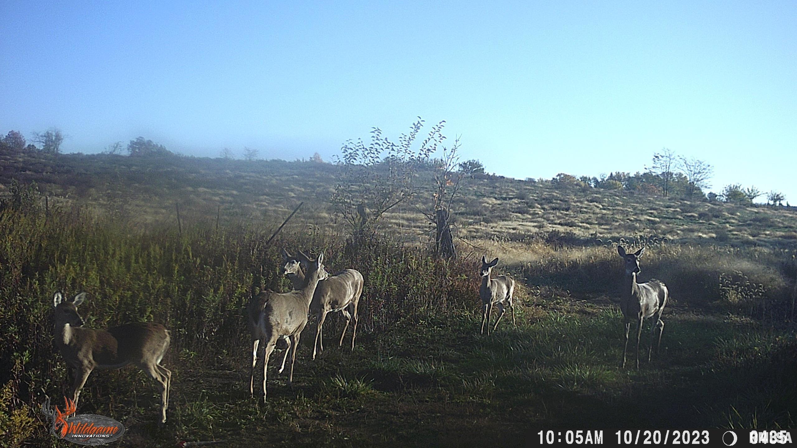 878 East 450th Street Plymouth, IL 62367 - Photo 100 of 100
