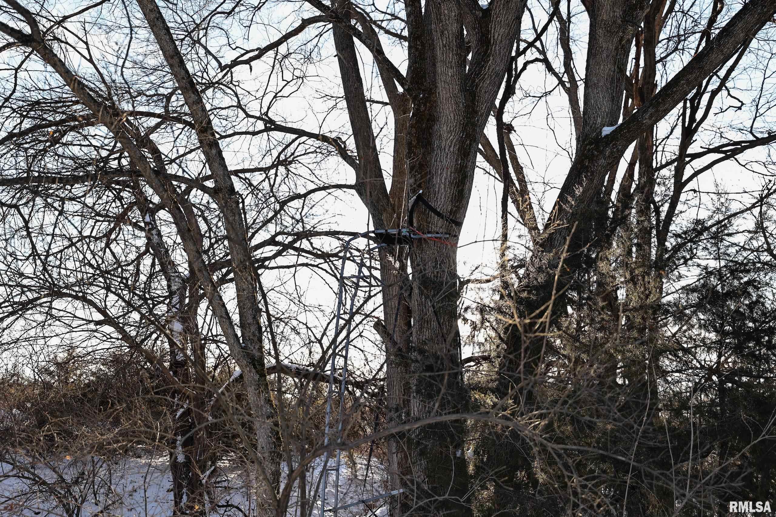 878 East 450th Street Plymouth, IL 62367 - Photo 10 of 100