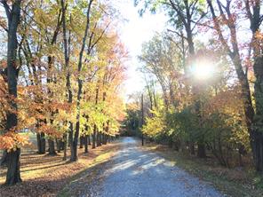 Oak Hill Road Westtown, NY 10998 - Photo 1 of 1 a view of road and trees
