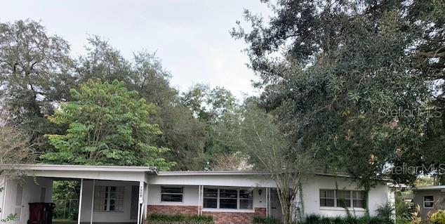 front view of a house with a tree
