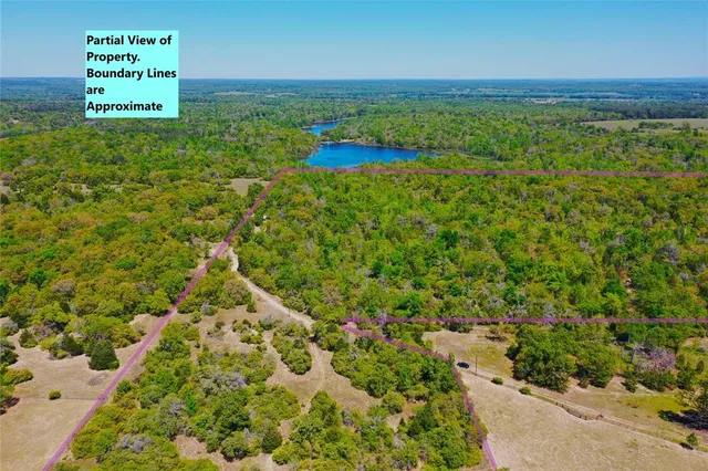 a view of a yard with an outdoor space