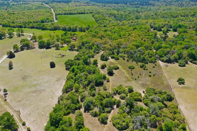 a view of a garden with a house