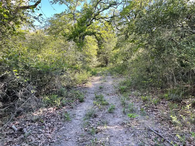 a view of a yard with a tree