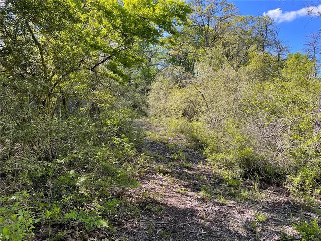a view of a large yard with lots of bushes