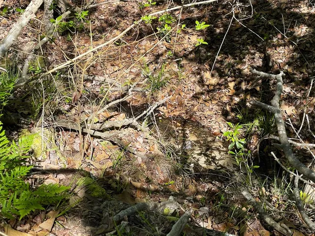 a backyard of a house with lots of trees