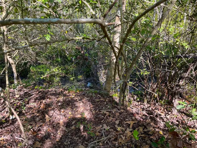 a view of a yard with a tree