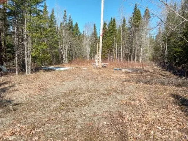 $79,000 | Lot 85 Woodland Ridge Road, Danforth, ME 04424