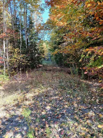 $79,000 | Lot 85 Woodland Ridge Road, Danforth, ME 04424