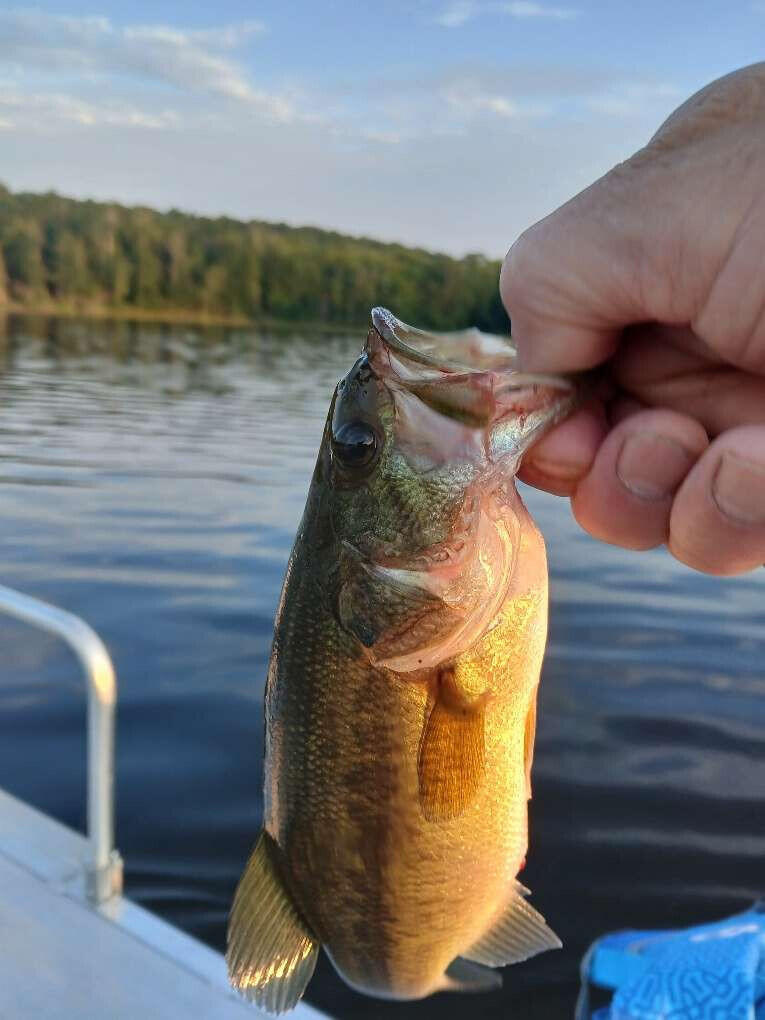 Lot 85 Woodland Ridge Road Danforth, ME 04424 - Photo 5 of 6 Hill.5