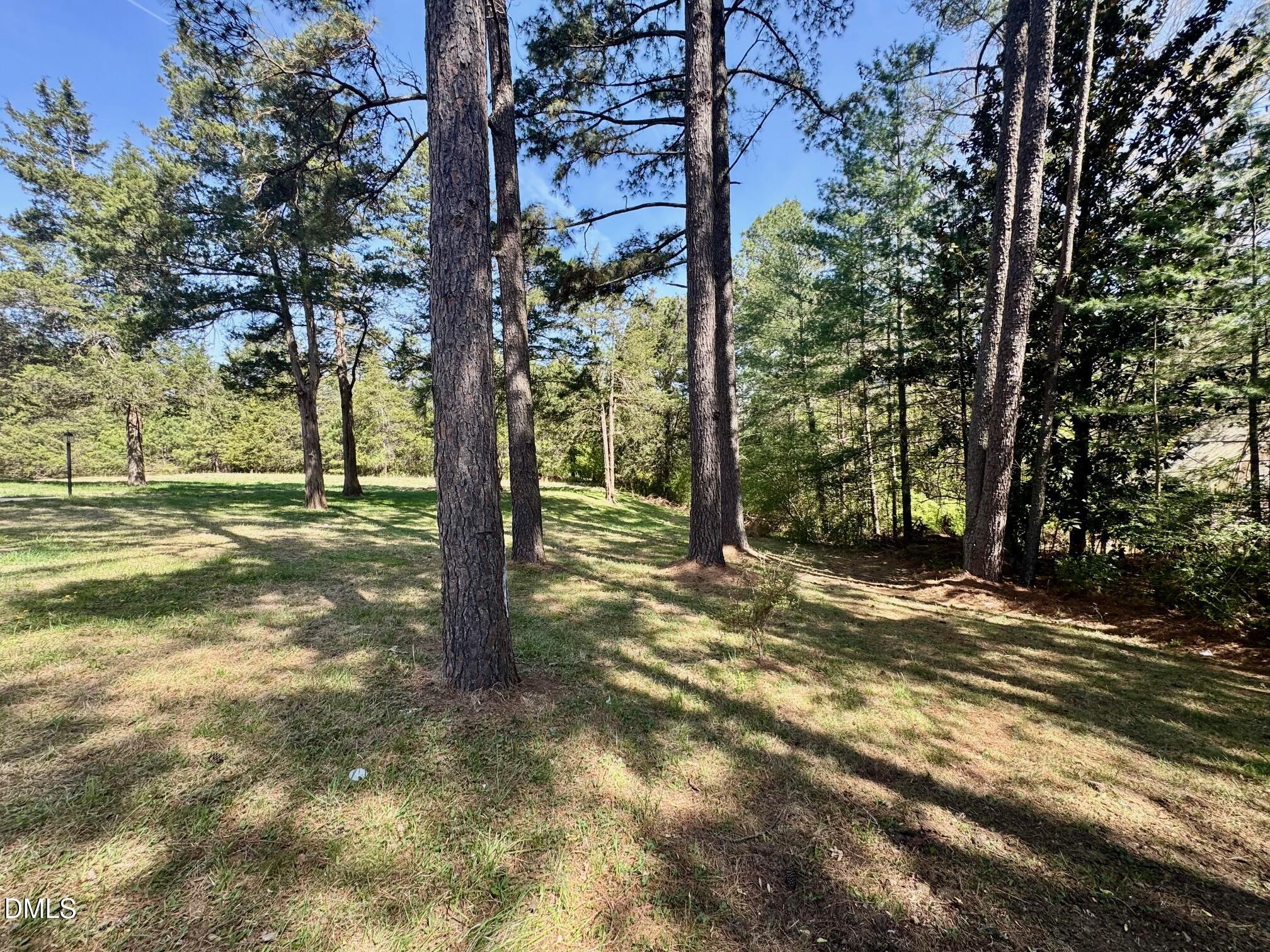 1720 Ross Mill Road Henderson, NC 27537 - Photo 37 of 42 a view of a trees with yard