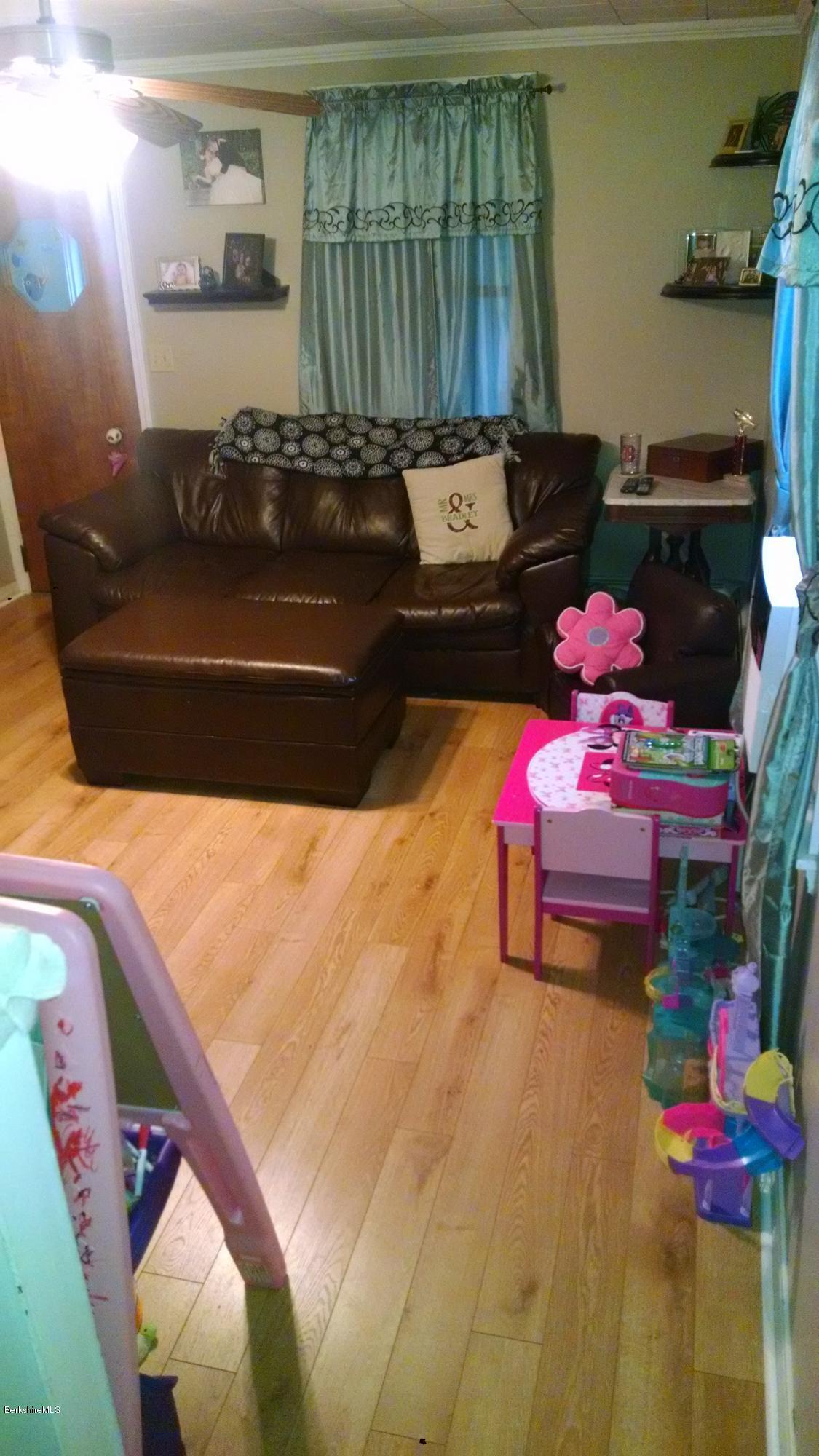 55 Pecks Road Pittsfield, MA 01201 - Photo 12 of 31 living room