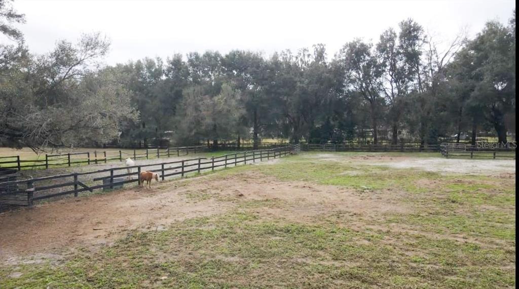 2700 Southeast 157th Lane Road Summerfield, FL 34491 - Photo 8 of 13 a view of a field with trees in the background