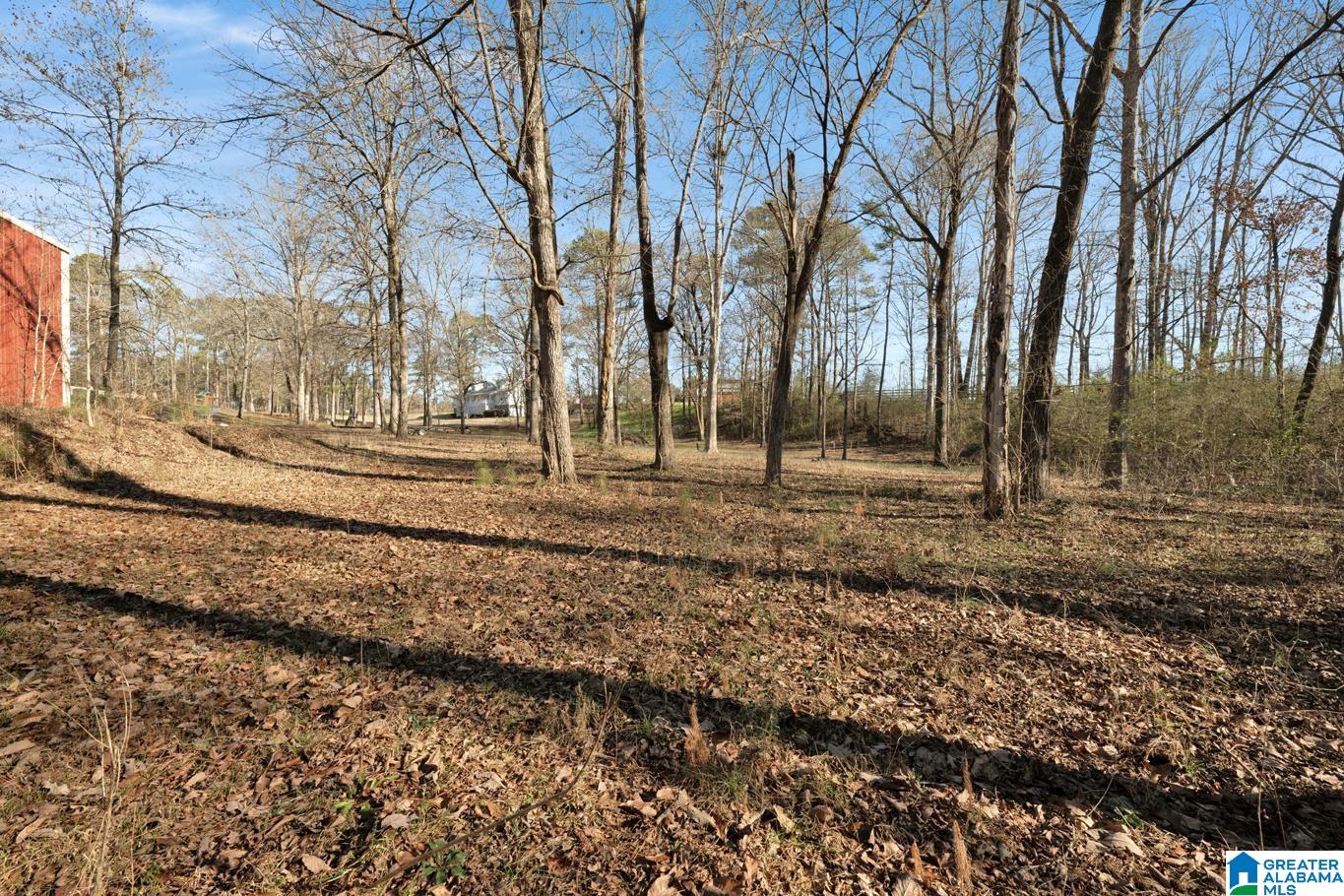 4634 Warrior Jasper Road Dora, AL 35062 - Photo 50 of 56
