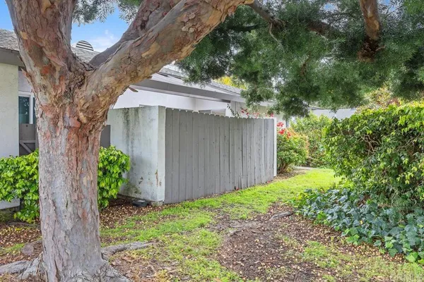 a view of a backyard with plants and large trees