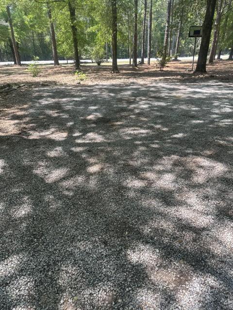 6359 Shangri La Road Crestview, FL 32539 - Photo 45 of 56 a big yard with trees