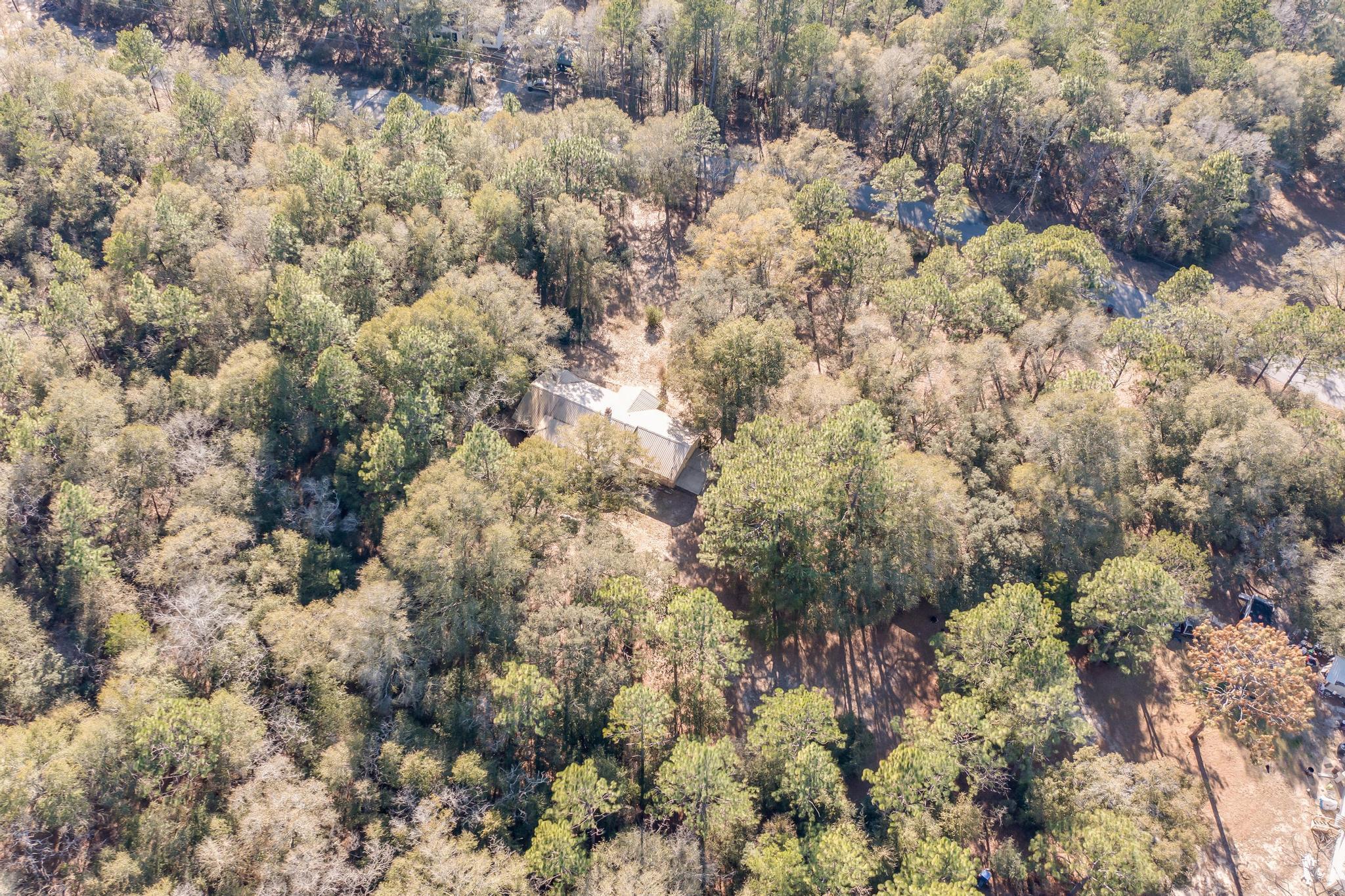 6359 Shangri La Road Crestview, FL 32539 - Photo 56 of 56 a view of a forest