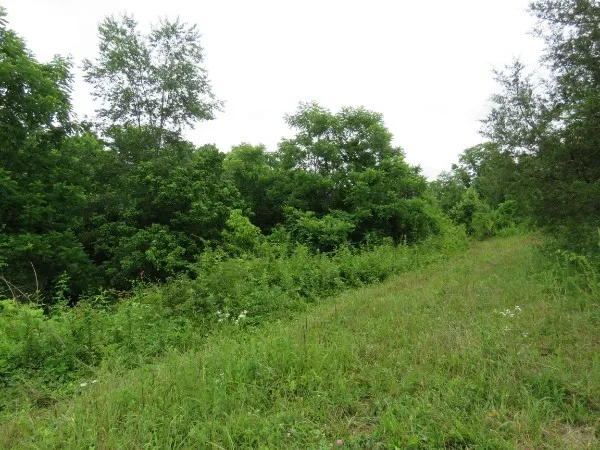 $230,000 | 0 North Center Point Acres North, Walling, TN 38587