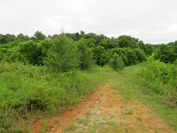 $230,000 | 0 North Center Point Acres North, Walling, TN 38587