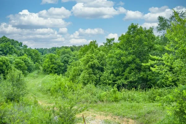 $230,000 | 0 North Center Point Acres North, Walling, TN 38587