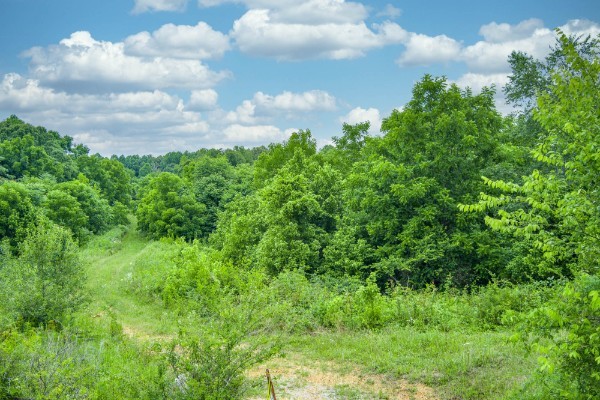 0 North Center Point Acres North Walling, TN 38587 - Photo 2 of 15 a view of a lot of green space