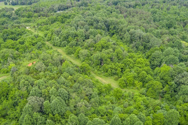 0 North Center Point Acres North Walling, TN 38587 - Photo 4 of 15 a view of a lush green forest