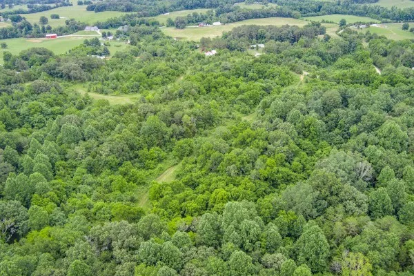 $230,000 | 0 North Center Point Acres North, Walling, TN 38587