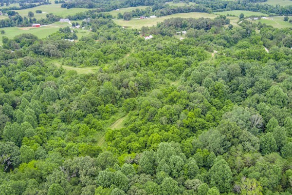 0 North Center Point Acres North Walling, TN 38587 - Photo 5 of 15 a view of a lush green forest with lots of trees