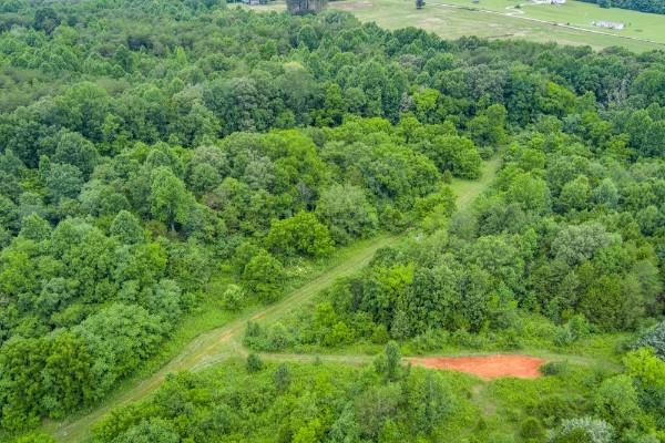 0 North Center Point Acres North Walling, TN 38587 - Photo 7 of 15 a view of a green field with lots of bushes