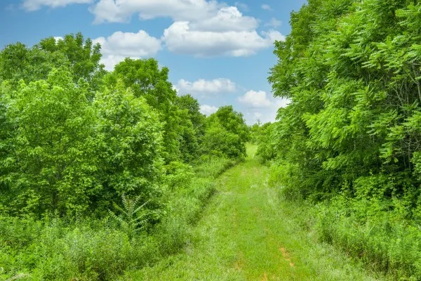 $230,000 | 0 North Center Point Acres North, Walling, TN 38587