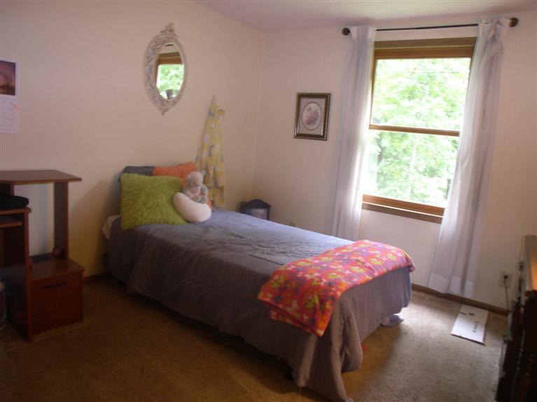 4260 Curran Road Buchanan, MI 49107 - Photo 11 of 24 Additional Photo