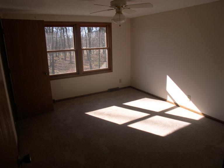 4260 Curran Road Buchanan, MI 49107 - Photo 10 of 24 Additional Photo