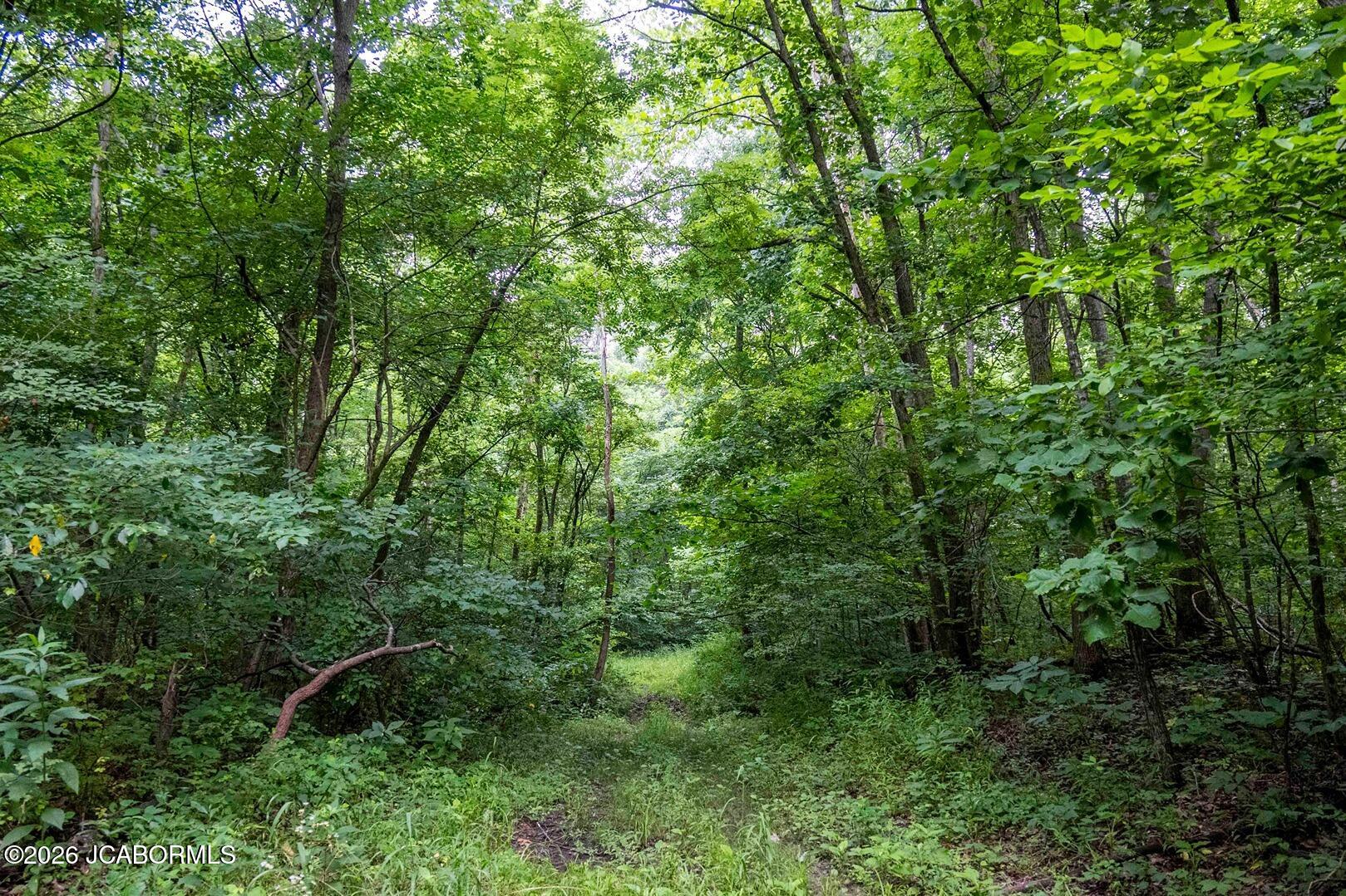 Tbd Talley Road Hartsburg, MO 65039 - Photo 89 of 106