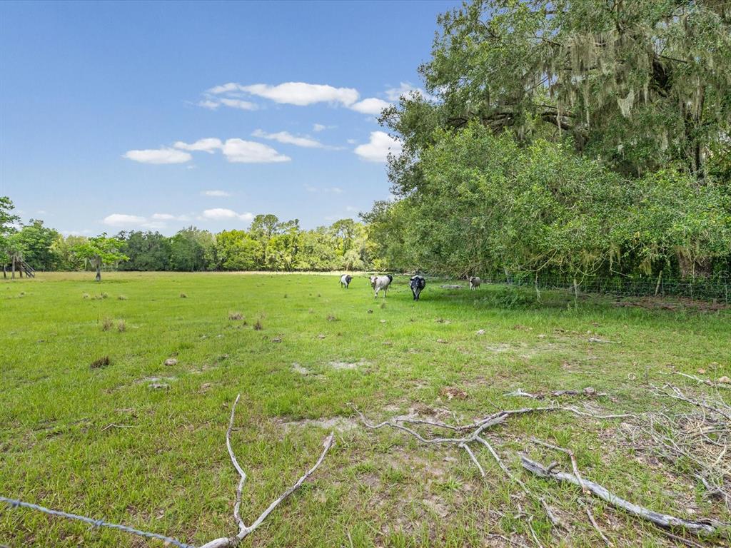 6413 Emerson Road Brooksville, FL 34601 - Photo 46 of 67